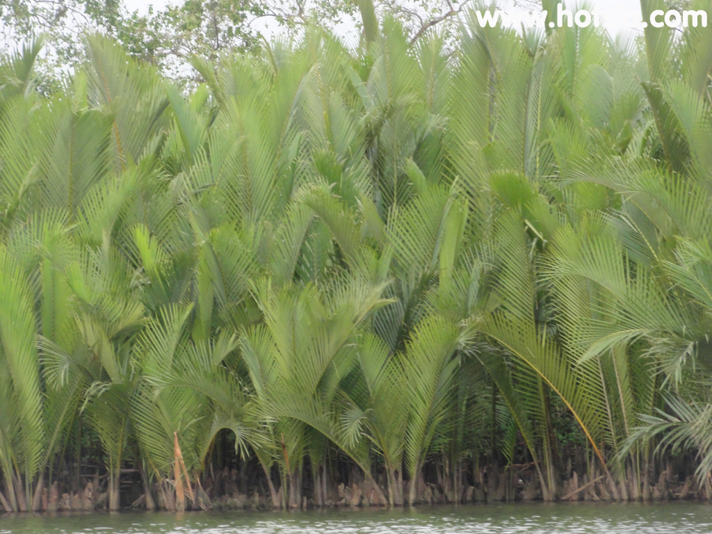 จังหวัดกำปอด ล่องเรือชมอาทิตย์ตกแม่น้ำกำปอด