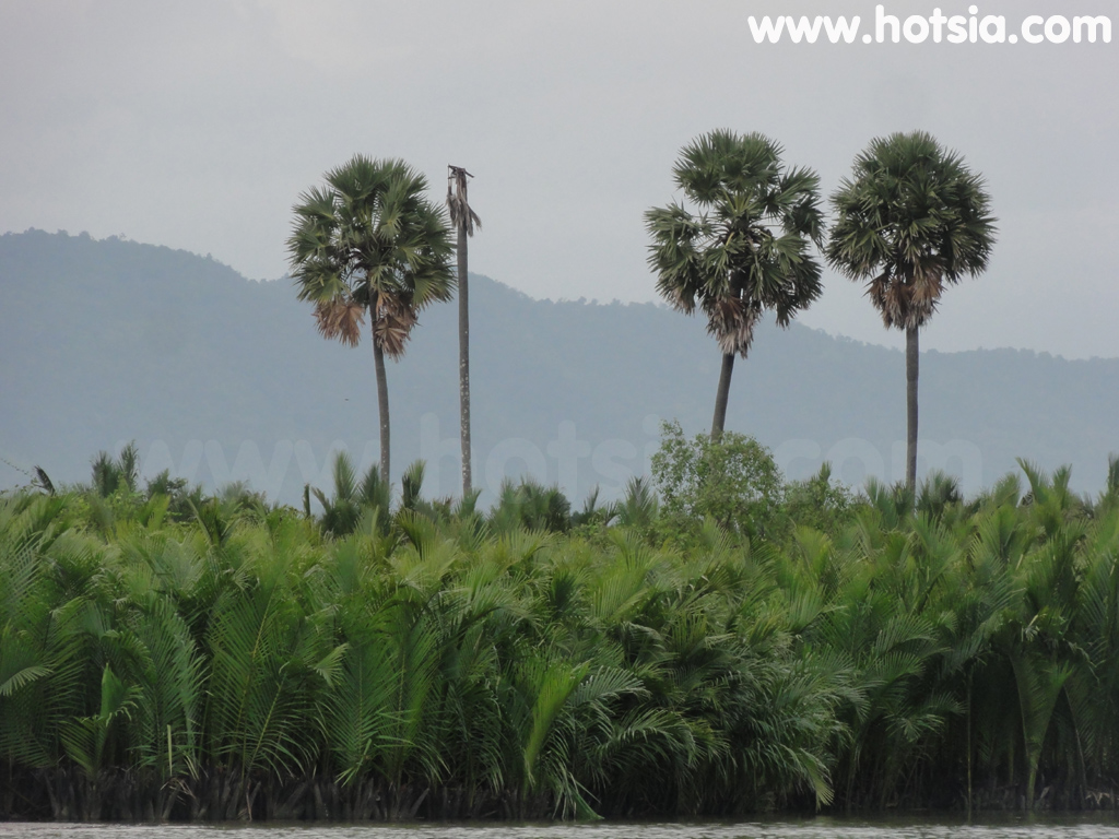 จังหวัดกำปอด ล่องเรือชมอาทิตย์ตกแม่น้ำกำปอด