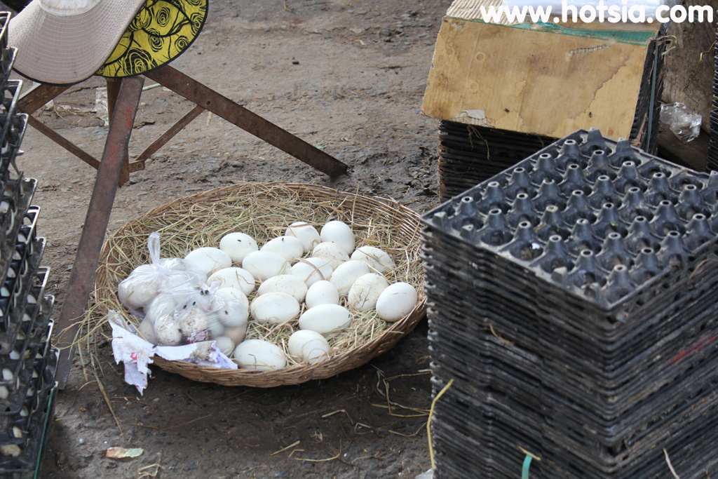 กำปงธม ไข่ห่านทอด
