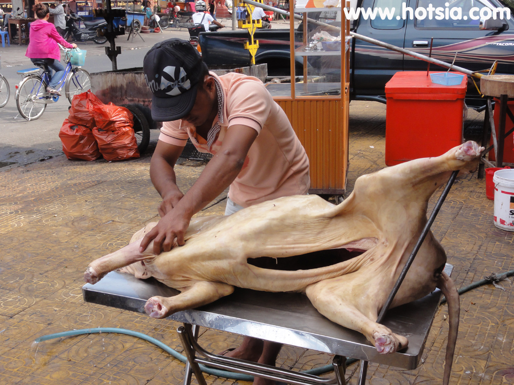 พนมเปญ วัวย่างพนมเปญ
