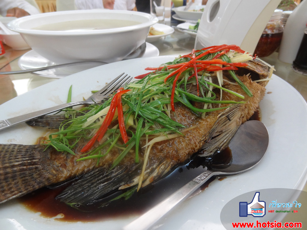 เสียมเรียบ อาหารจีนในเสียมเรียบ Chinese food siem reap
