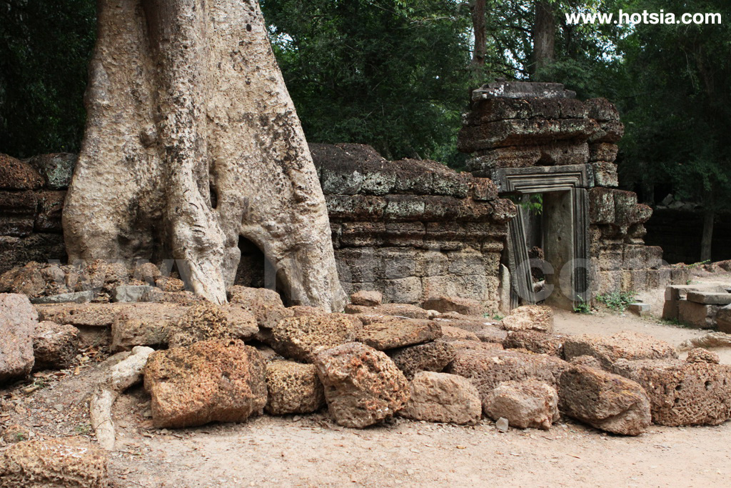 เที่ยวเสียมเรียบ นครวัด ปราสาทตาพรหม 2555