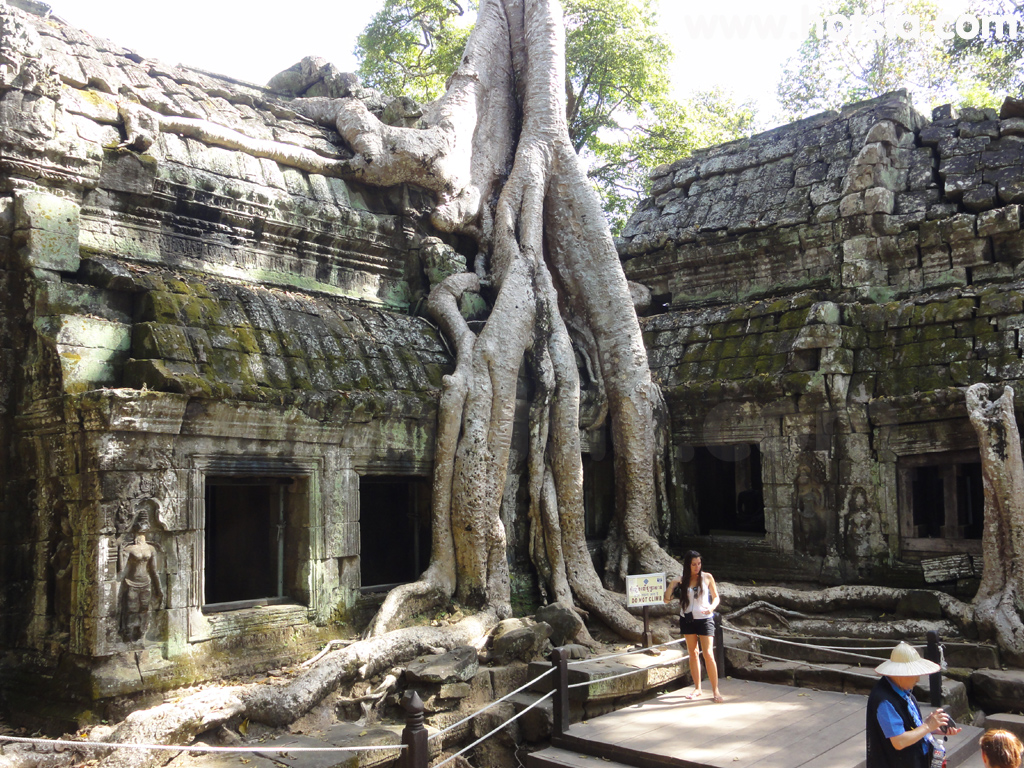 เสียมเรียบ ปราสาทตาพรหม