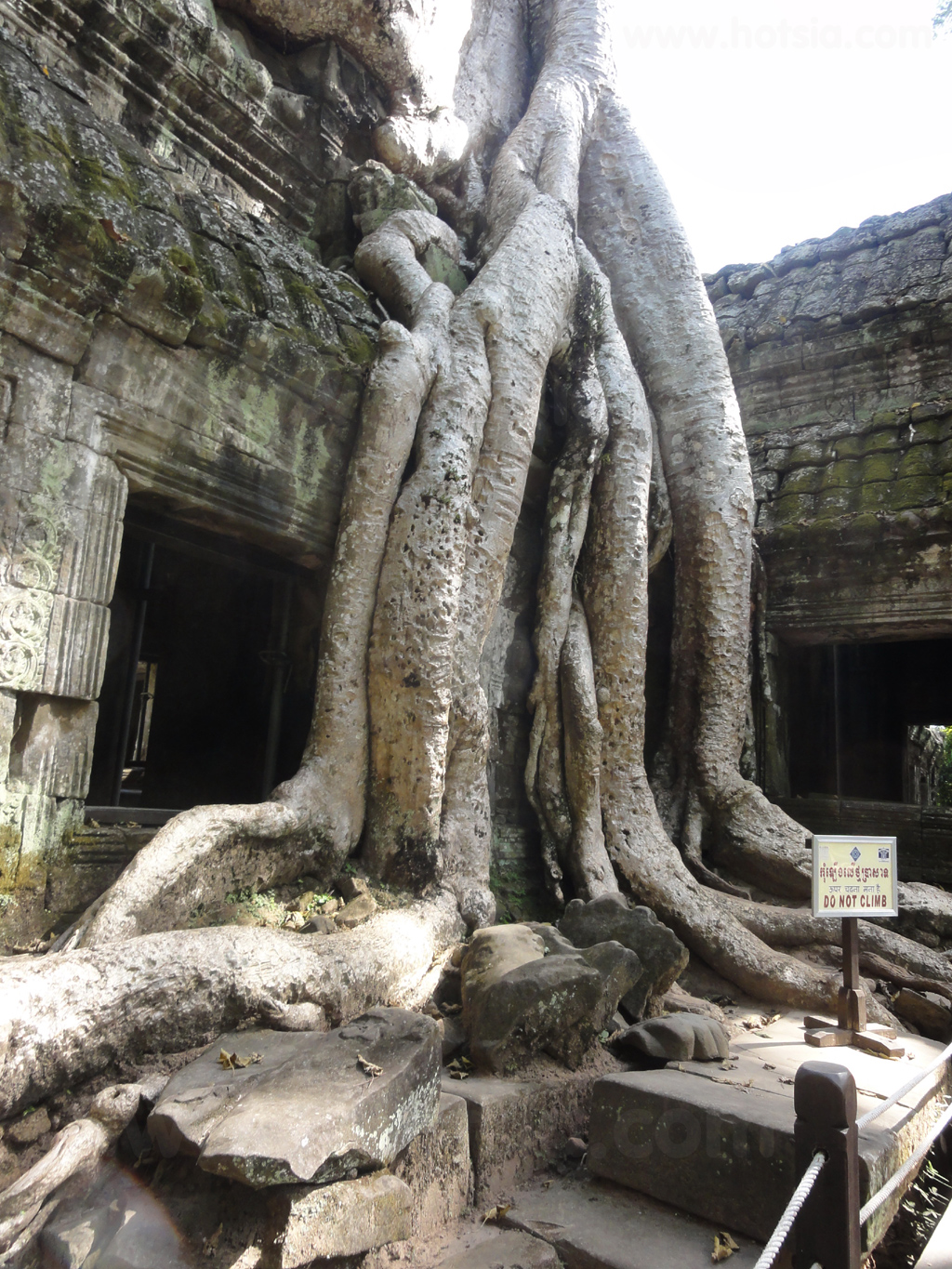 เสียมเรียบ ปราสาทตาพรหม