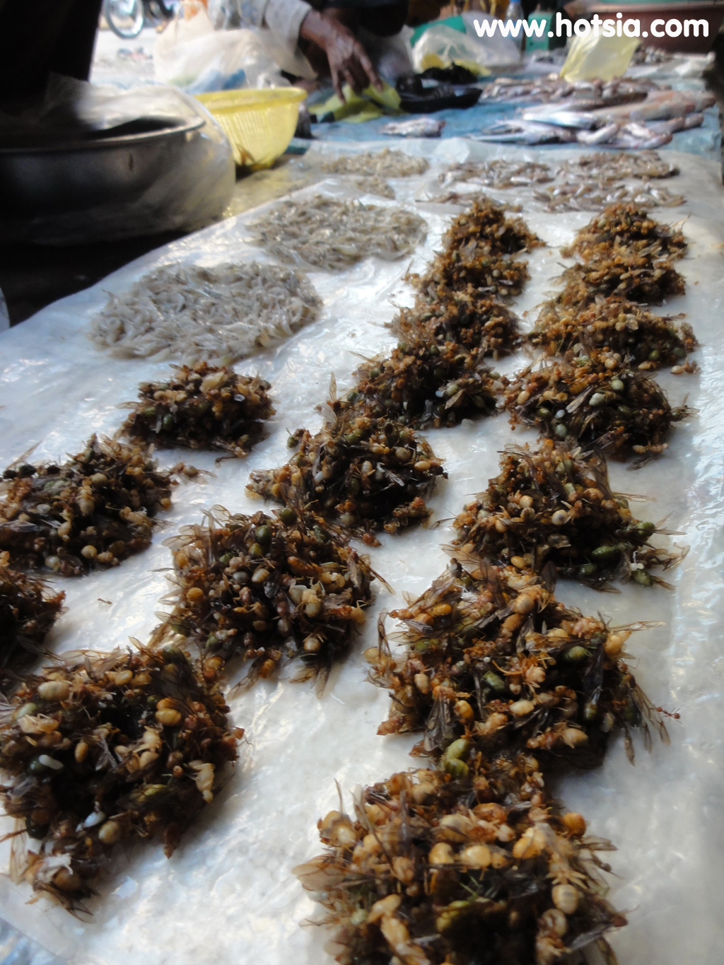 เที่ยวสตรึงแตรง ตลาดสตรึงแตรง