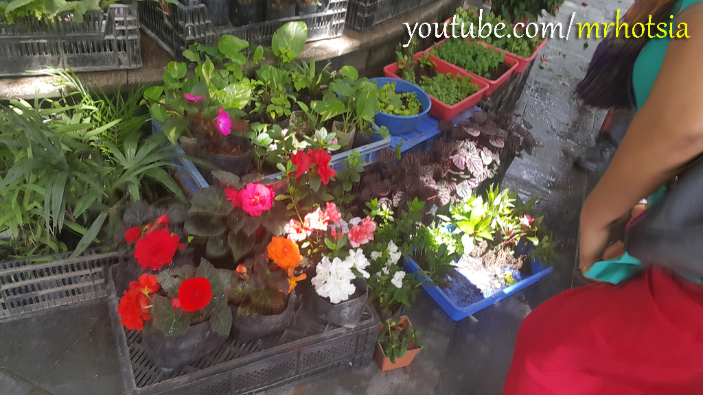 เมืองน้ำชี รัฐสิกขิม อินเดีย ตลาดเมืองน้ำชี สิกขิมใต้ อินเดีย