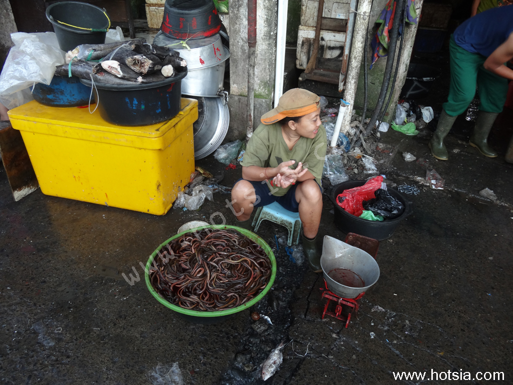 เที่ยวบาหลีด้วยตัวเอง ตลาดเช้าเดนปาซาร์