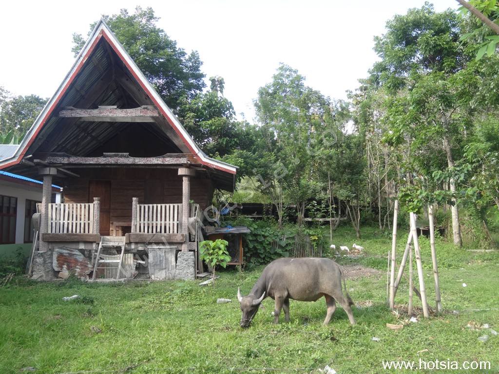 เมดาน สุมาตรา บ้านชาวบาตัก