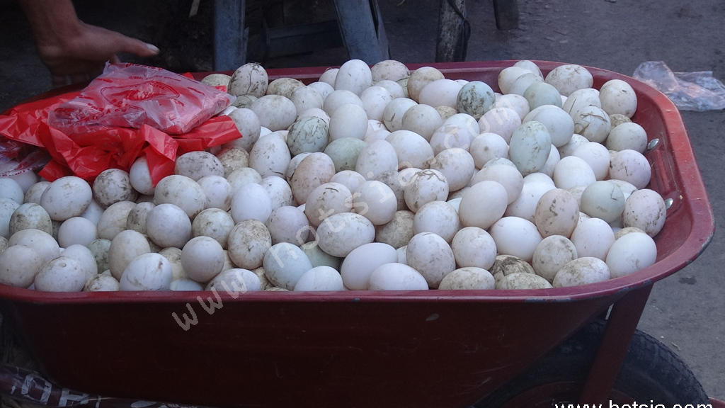 ข้อมูลท่องเที่ยวเมดาน สุมาตรา อินโดนีเซีย ตลาดเช้าเมืองเซียนต้า