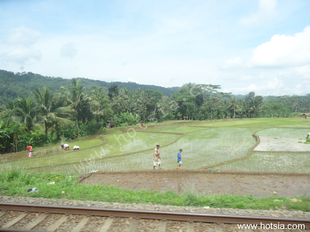 เที่ยวยอร์คยาการ์ตา รถไฟจากยอร์คยาการ์ตาไปจาการ์ต้า