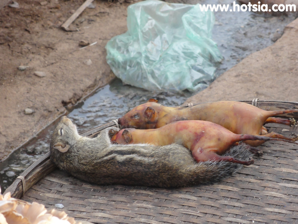 เที่ยวอัตตะปือ ตลาดอัตตะปือ