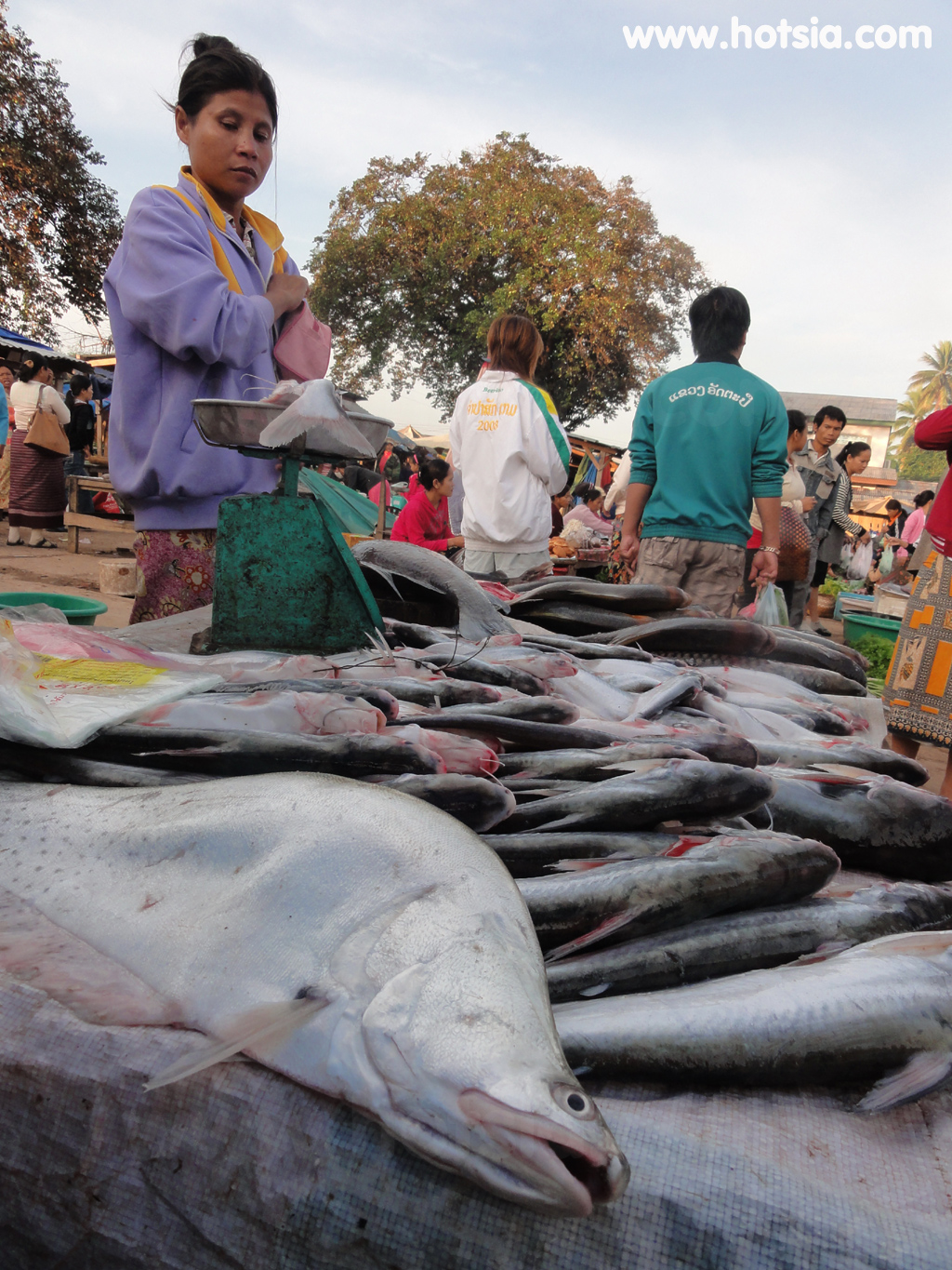 เที่ยวอัตตะปือ ตลาดอัตตะปือ