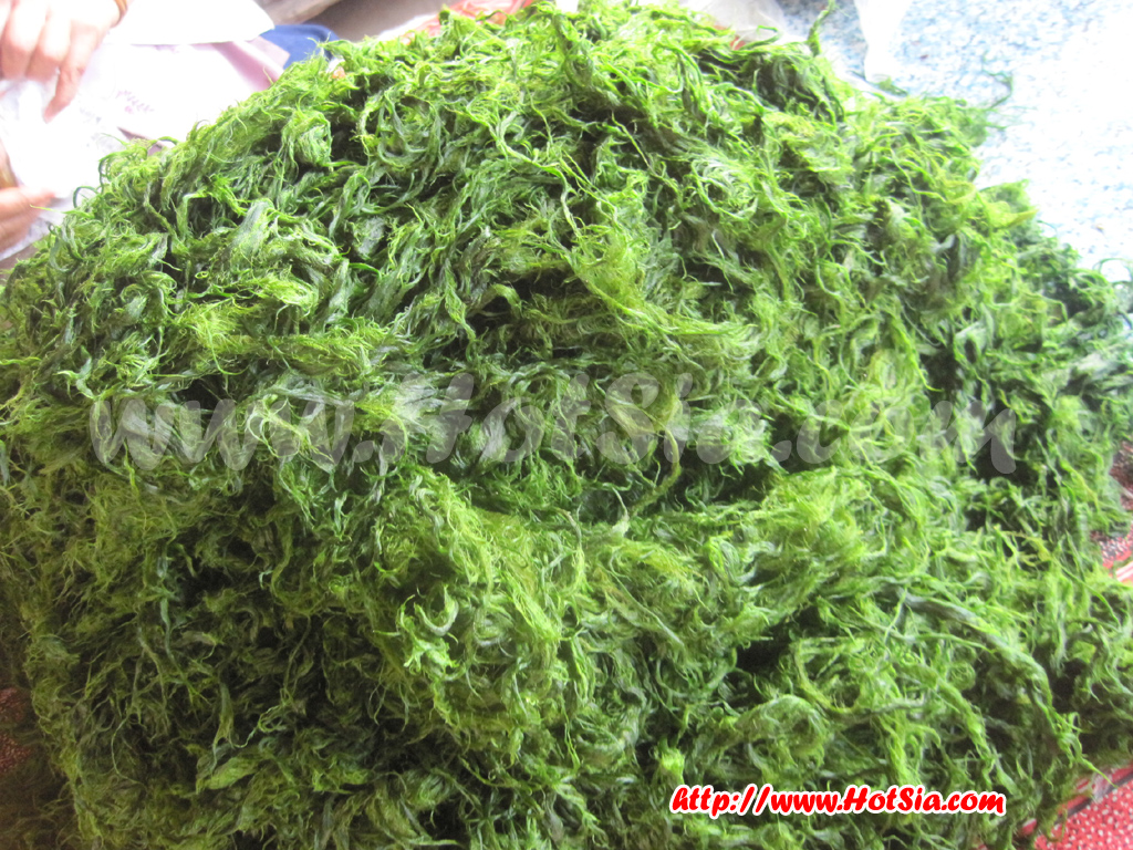 แขวงบ่อแก้ว-ลาว ตลาดเช้า ตลาดเย็น ห้วยทราย(houay xai) แขวงบ่อแก้ว ลาว