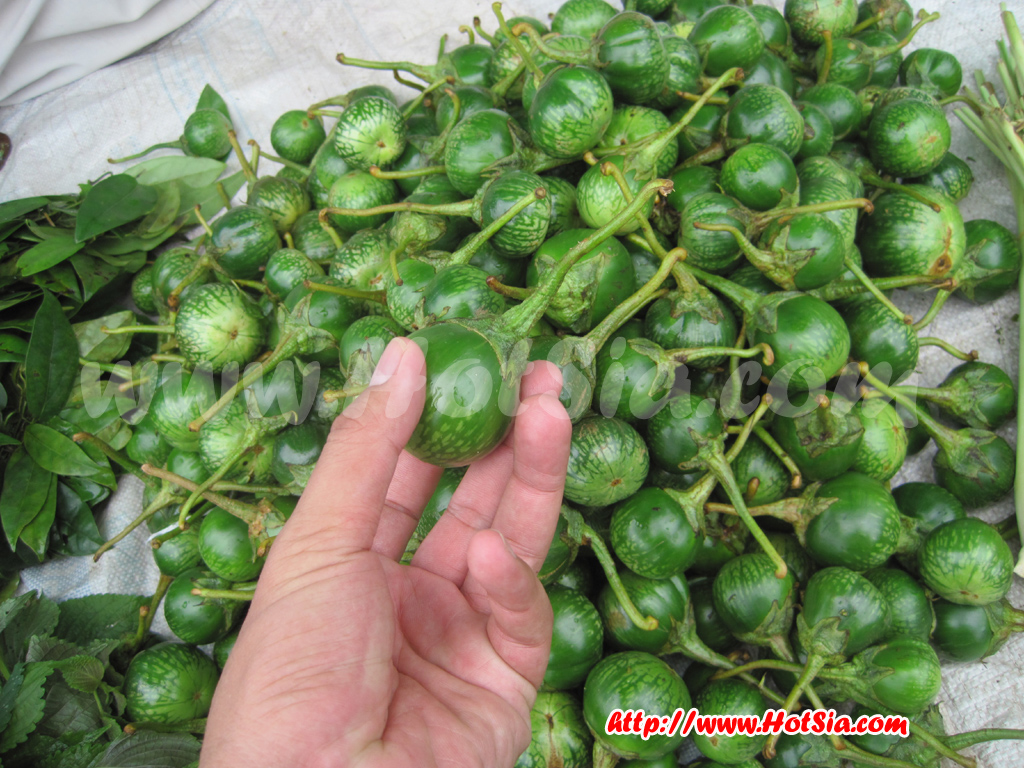 ปากซัน บริคำไชย ตลาดปากซัน