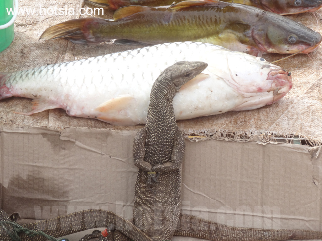 จำปาสัก ตลาดเย็นนากะสัง