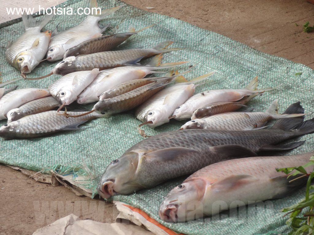 จำปาสัก ตลาดเย็นนากะสัง