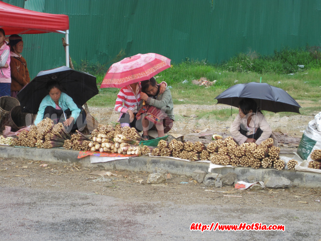 ซำเหนือแขวงหัวพัน ตลาดซำเหนือ
