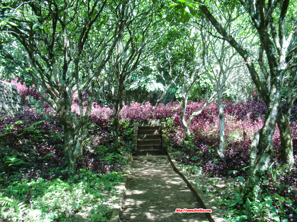ซำเหนือแขวงหัวพัน ถ้ำท่านสุภานุวงค์