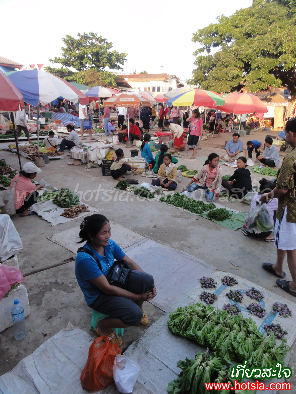 หลวงน้ำทา ตลาดเย็นหลวงน้ำทา 2013