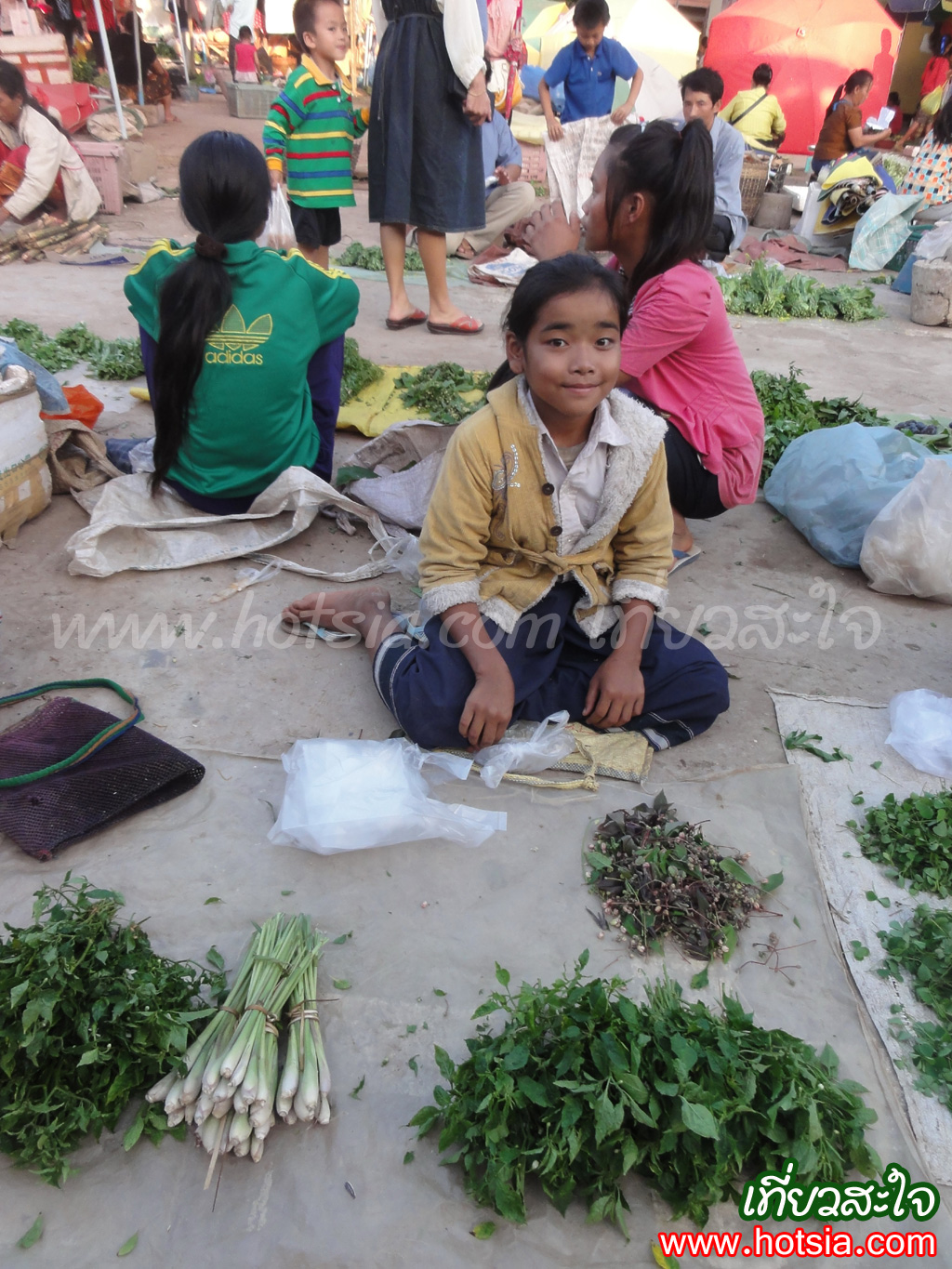 หลวงน้ำทา ตลาดเย็นหลวงน้ำทา 2013