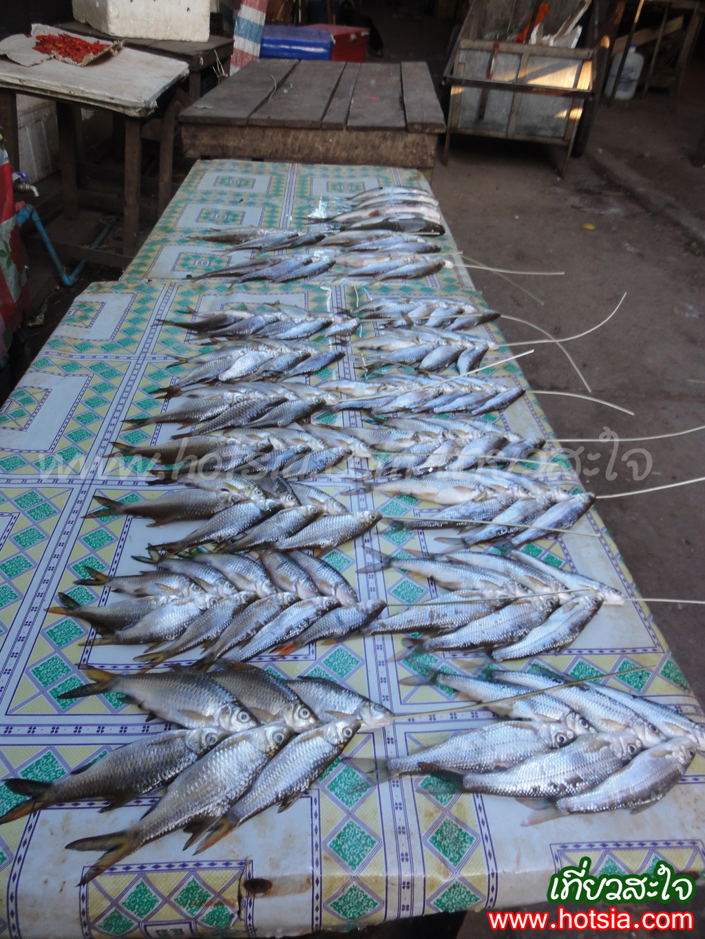 หลวงน้ำทา ตลาดเย็นหลวงน้ำทา 2013