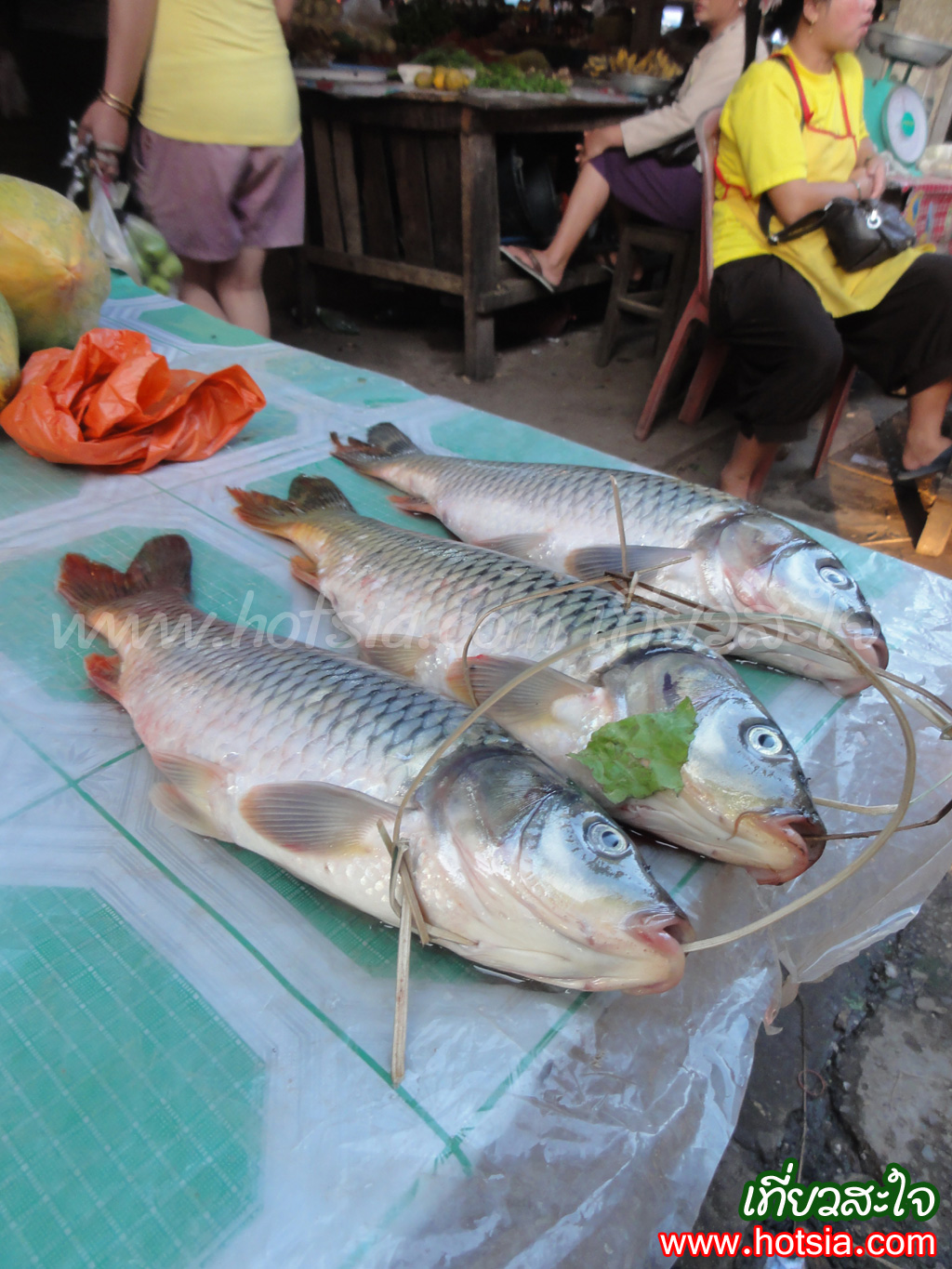 หลวงน้ำทา ตลาดเย็นหลวงน้ำทา 2013