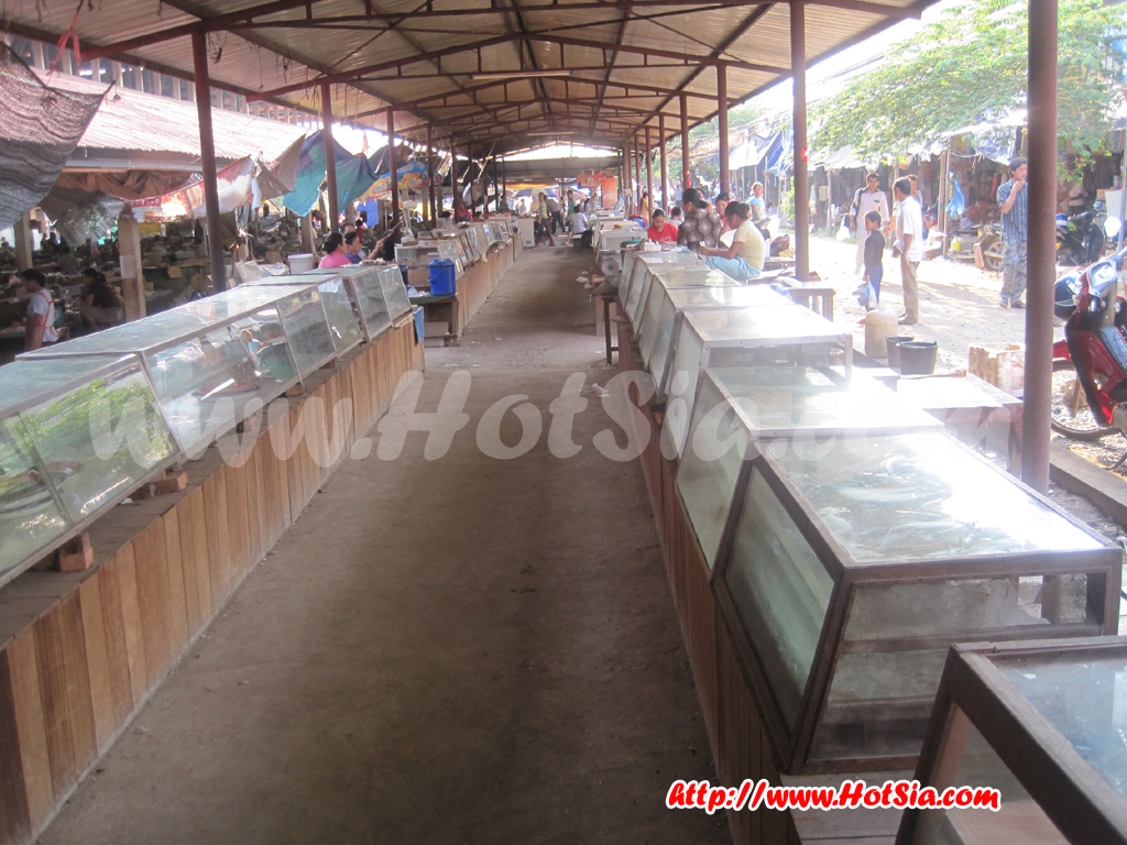 เที่ยวลาว หลวงน้ำทา ตลาดหลวงน้ำทา(Luang Namtha market)