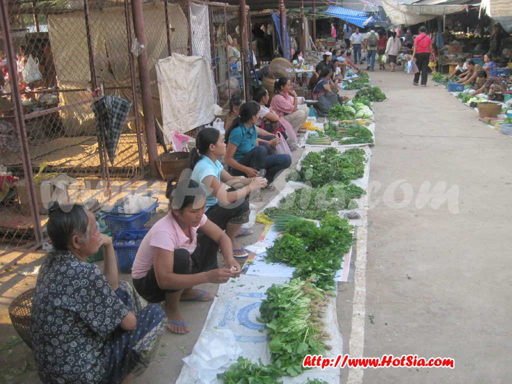 เที่ยวลาว หลวงน้ำทา ตลาดหลวงน้ำทา(Luang Namtha market)