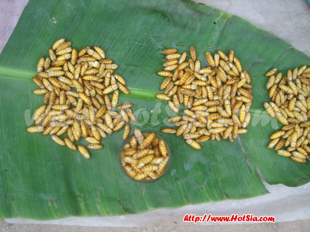 เที่ยวลาว หลวงน้ำทา ตลาดหลวงน้ำทา(Luang Namtha market)