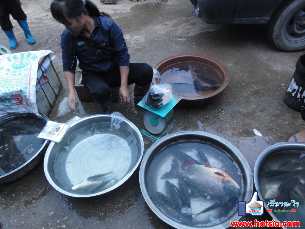หลวงน้ำทา ตลาดเช้าเมืองสิง