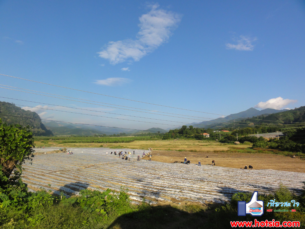 หลวงน้ำทา เมืองรอง