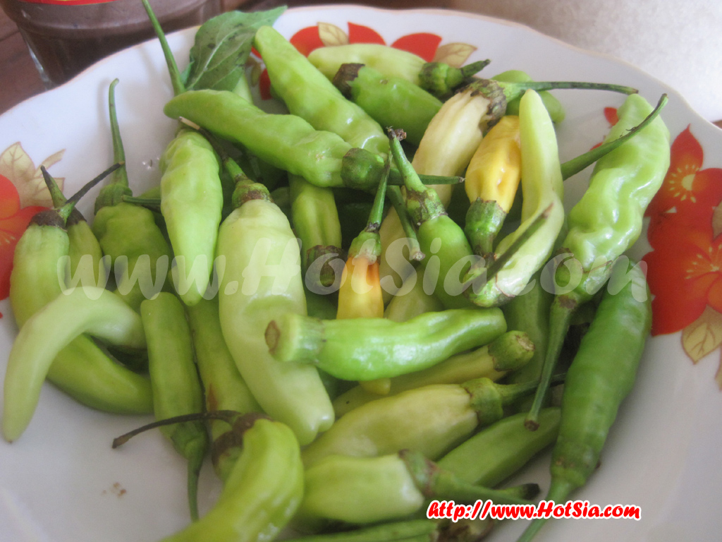เที่ยวลาว หลวงน้ำทา เฝอหลวงน้ำทา(Luang Namtha food)