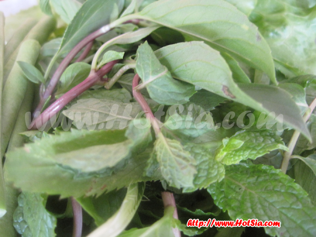 เที่ยวลาว หลวงน้ำทา เฝอหลวงน้ำทา(Luang Namtha food)