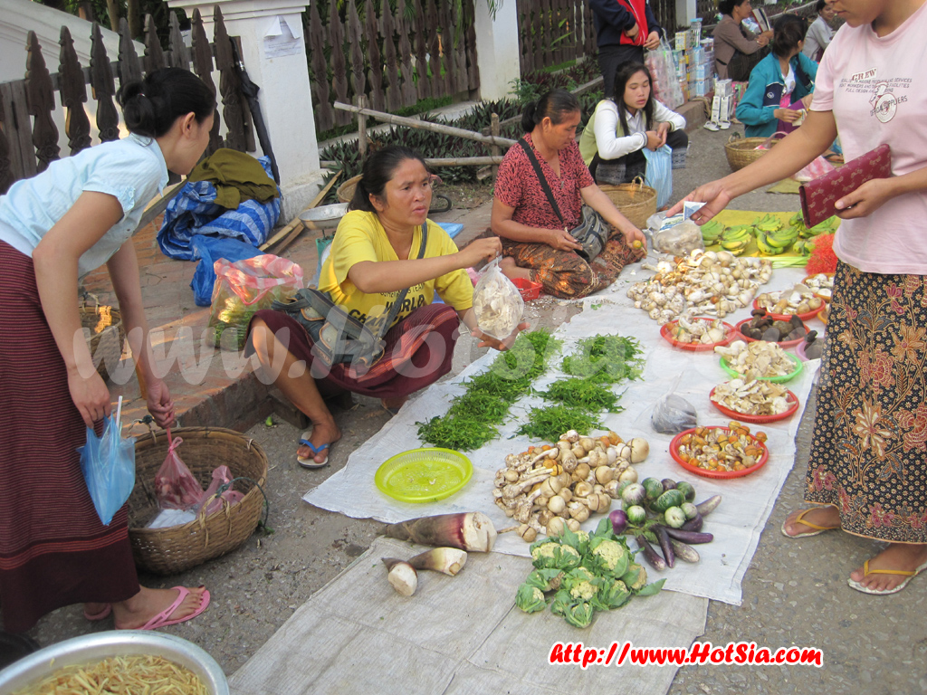 หลวงพระบาง ตลาดเช้าหลวงพระบาง(morning market)