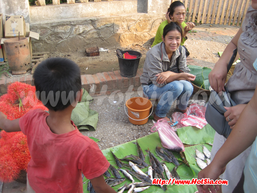 หลวงพระบาง ตลาดเช้าหลวงพระบาง(morning market)
