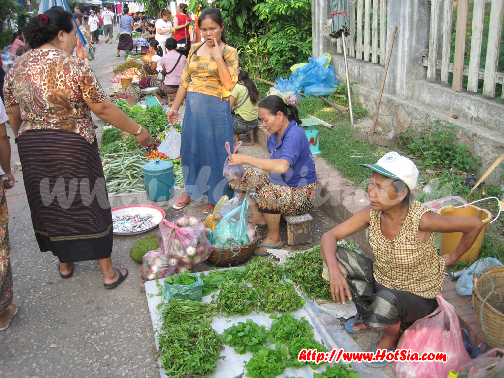 หลวงพระบาง ตลาดเช้าหลวงพระบาง(morning market)