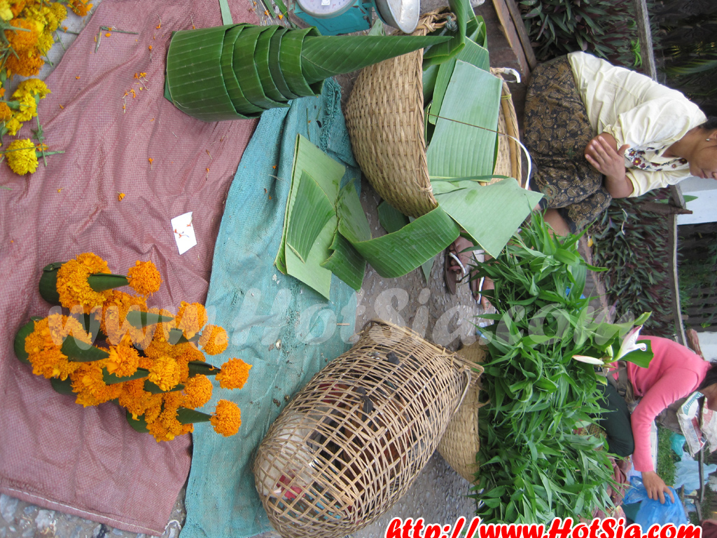 หลวงพระบาง ตลาดเช้าหลวงพระบาง(morning market)