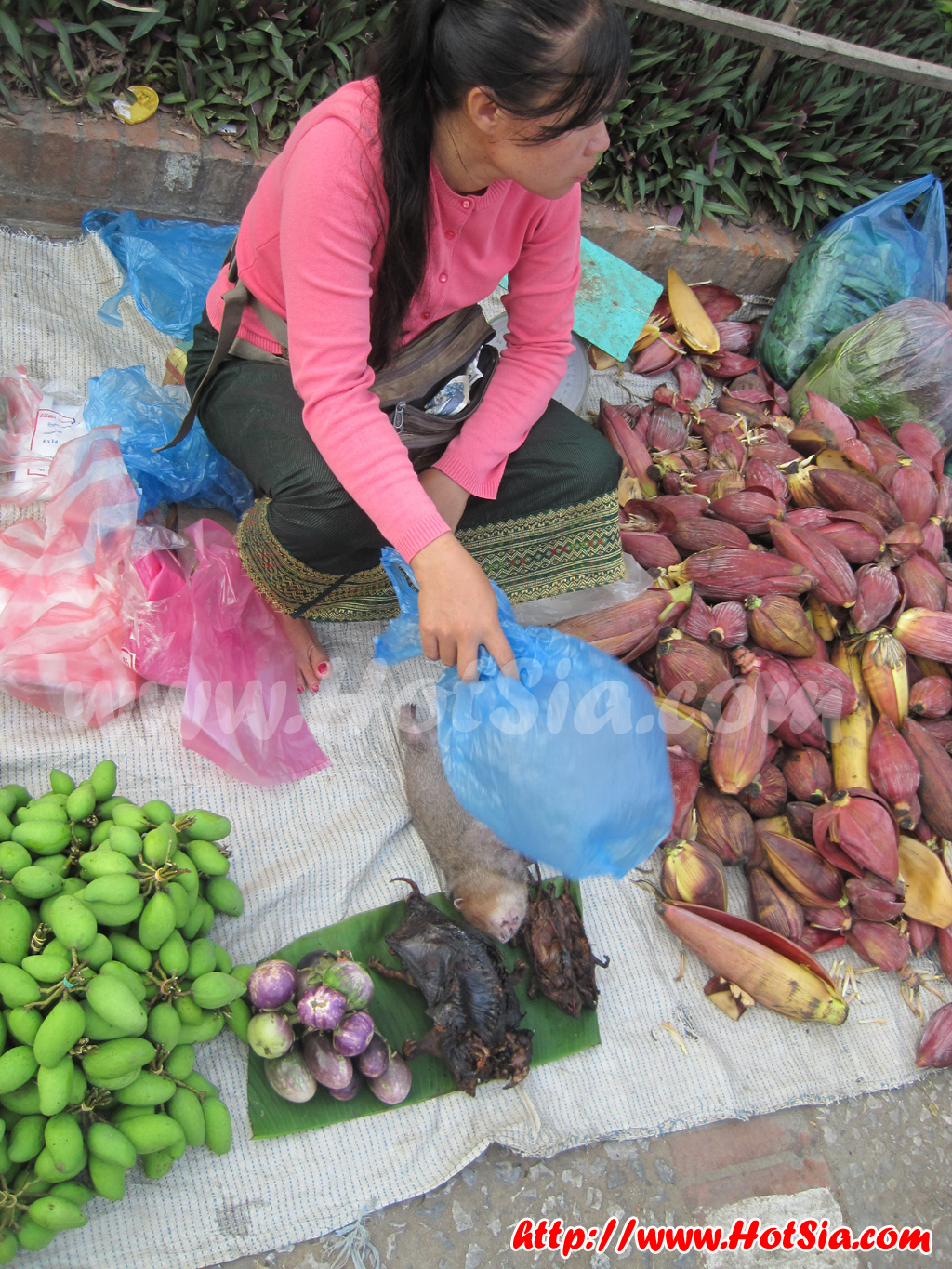 หลวงพระบาง ตลาดเช้าหลวงพระบาง(morning market)