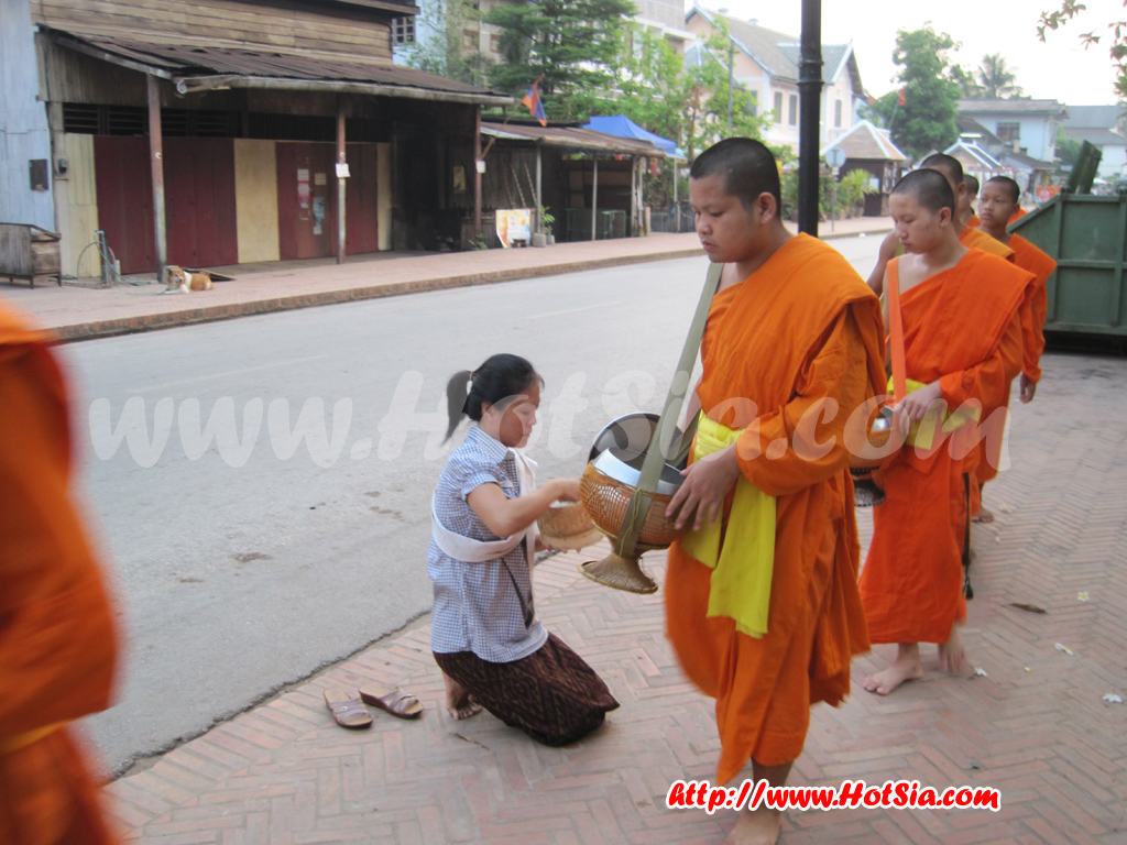 หลวงพระบาง ตักบาตรข้าวเหนียวหลวงพระบาง