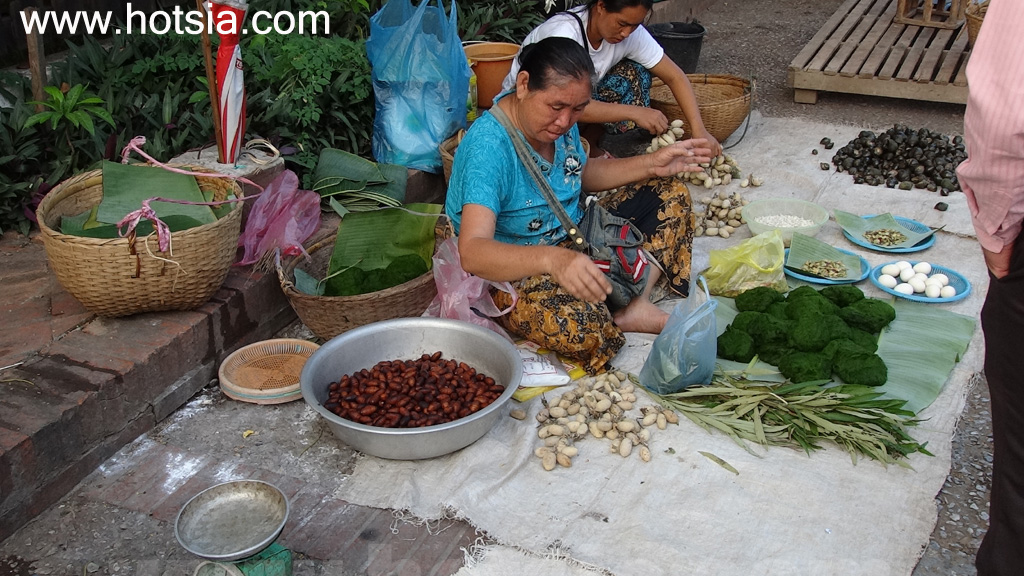 เที่ยวหลวงพระบางด้วยตัวเอง ตลาดเช้าหลวงพระบาง 2013