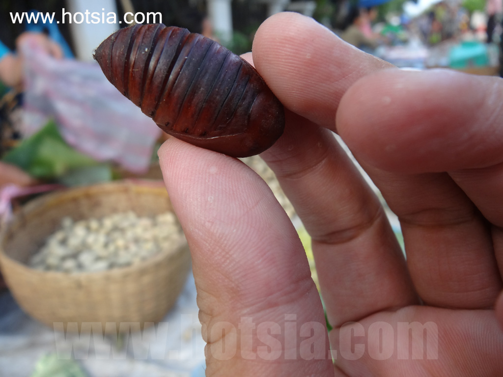 เที่ยวหลวงพระบางด้วยตัวเอง ตลาดเช้าหลวงพระบาง 2013