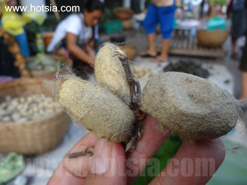 เที่ยวหลวงพระบางด้วยตัวเอง ตลาดเช้าหลวงพระบาง 2013