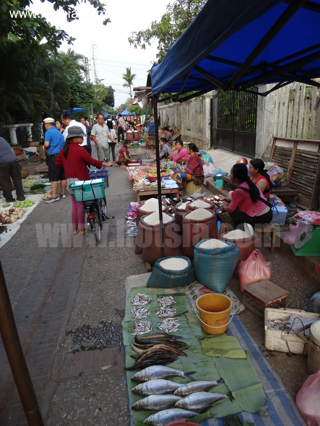 เที่ยวหลวงพระบางด้วยตัวเอง ตลาดเช้าหลวงพระบาง 2013