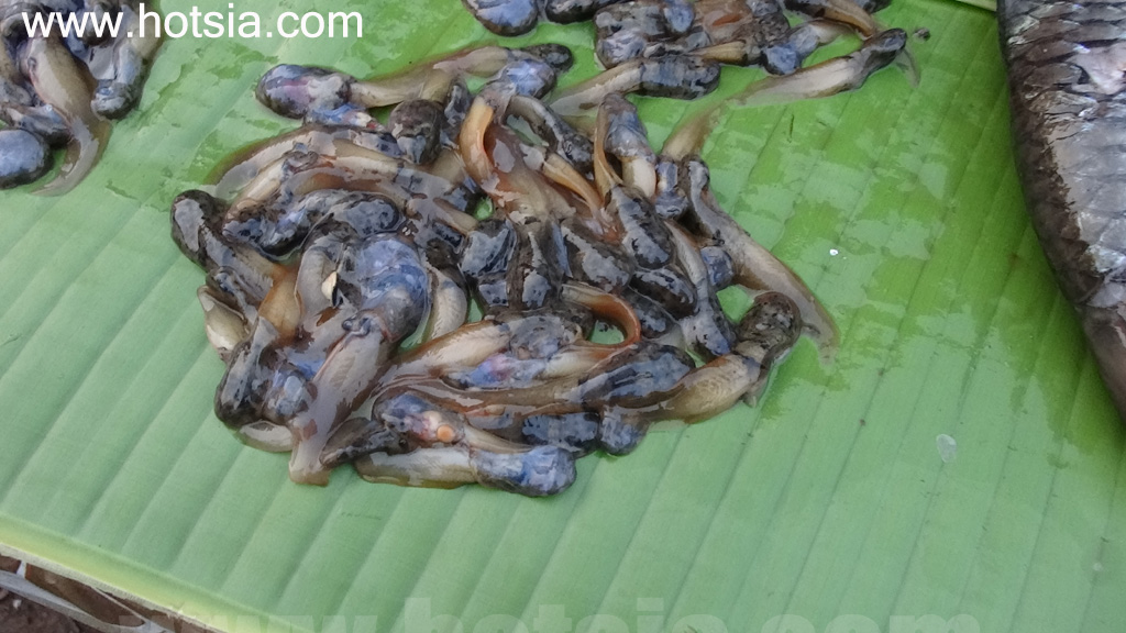 อุดมไชย ตลาดเช้าอุดมไชย 2014