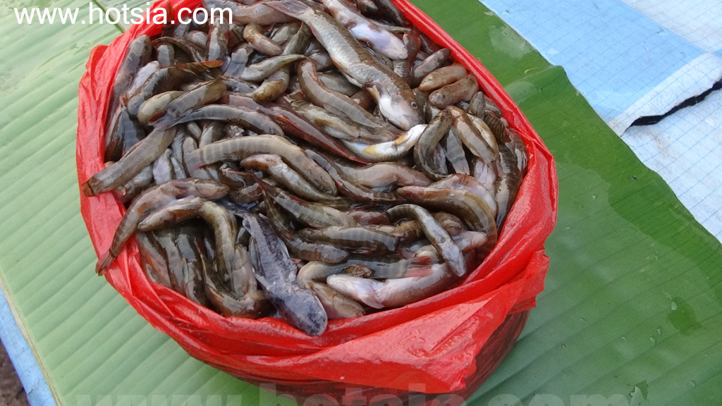 อุดมไชย ตลาดเช้าอุดมไชย 2014