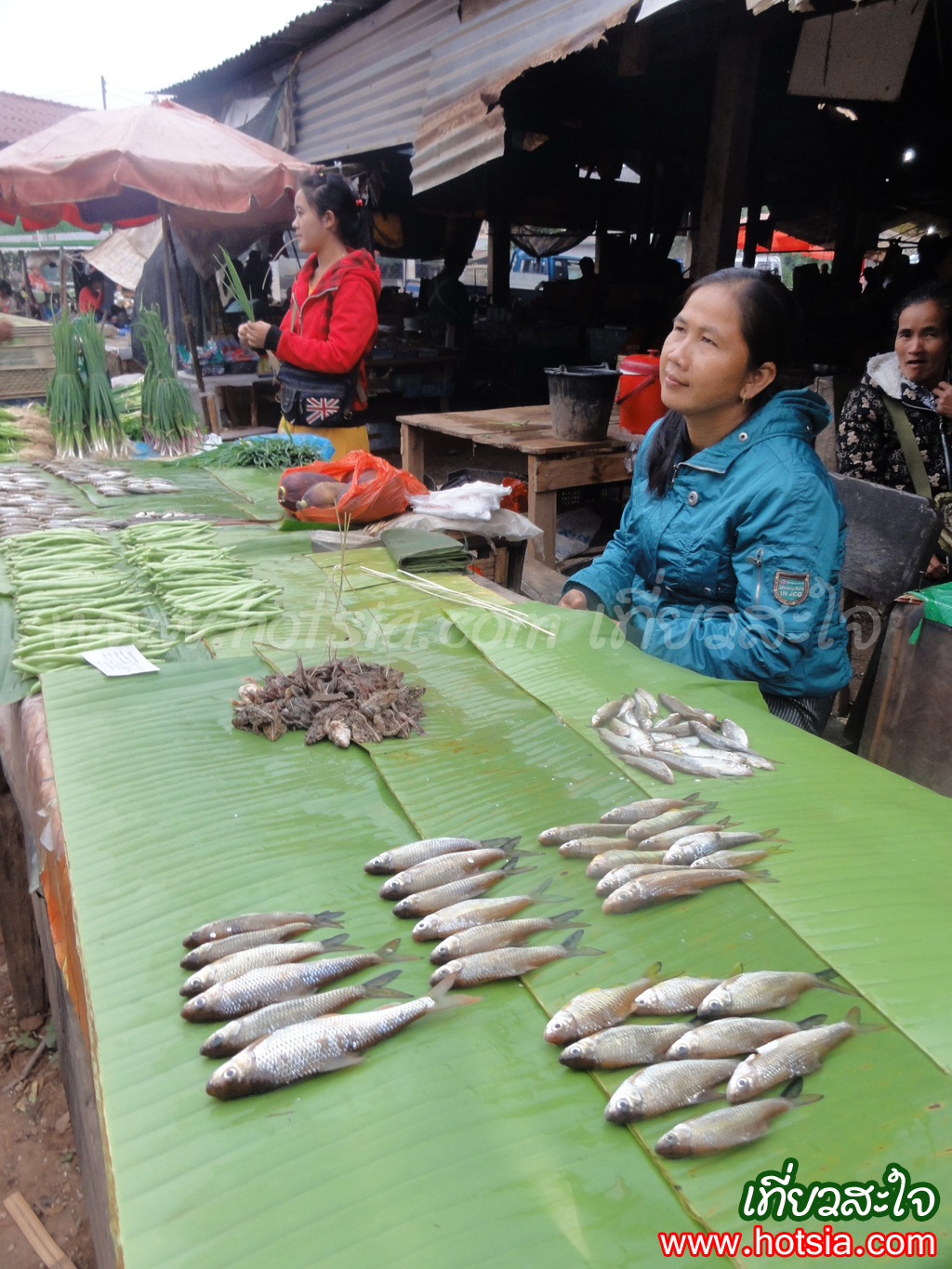 แขวงอุดมไชย อุดมไชย 2013