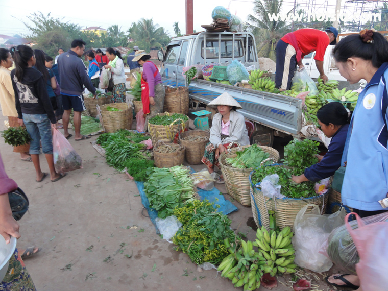 เที่ยวปากเซ จำปาสัก ตลาดดาวเรืองปากเซ