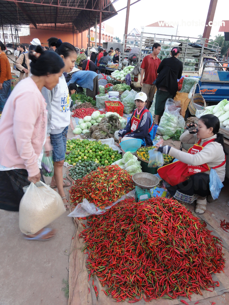 เที่ยวปากเซ จำปาสัก ตลาดดาวเรืองปากเซ