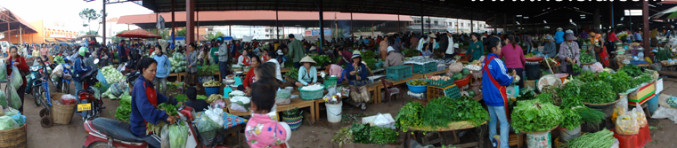 เที่ยวปากเซ จำปาสัก ตลาดดาวเรืองปากเซ