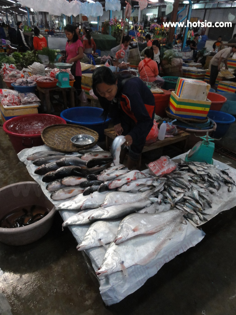 เที่ยวปากเซ จำปาสัก ตลาดดาวเรืองปากเซ